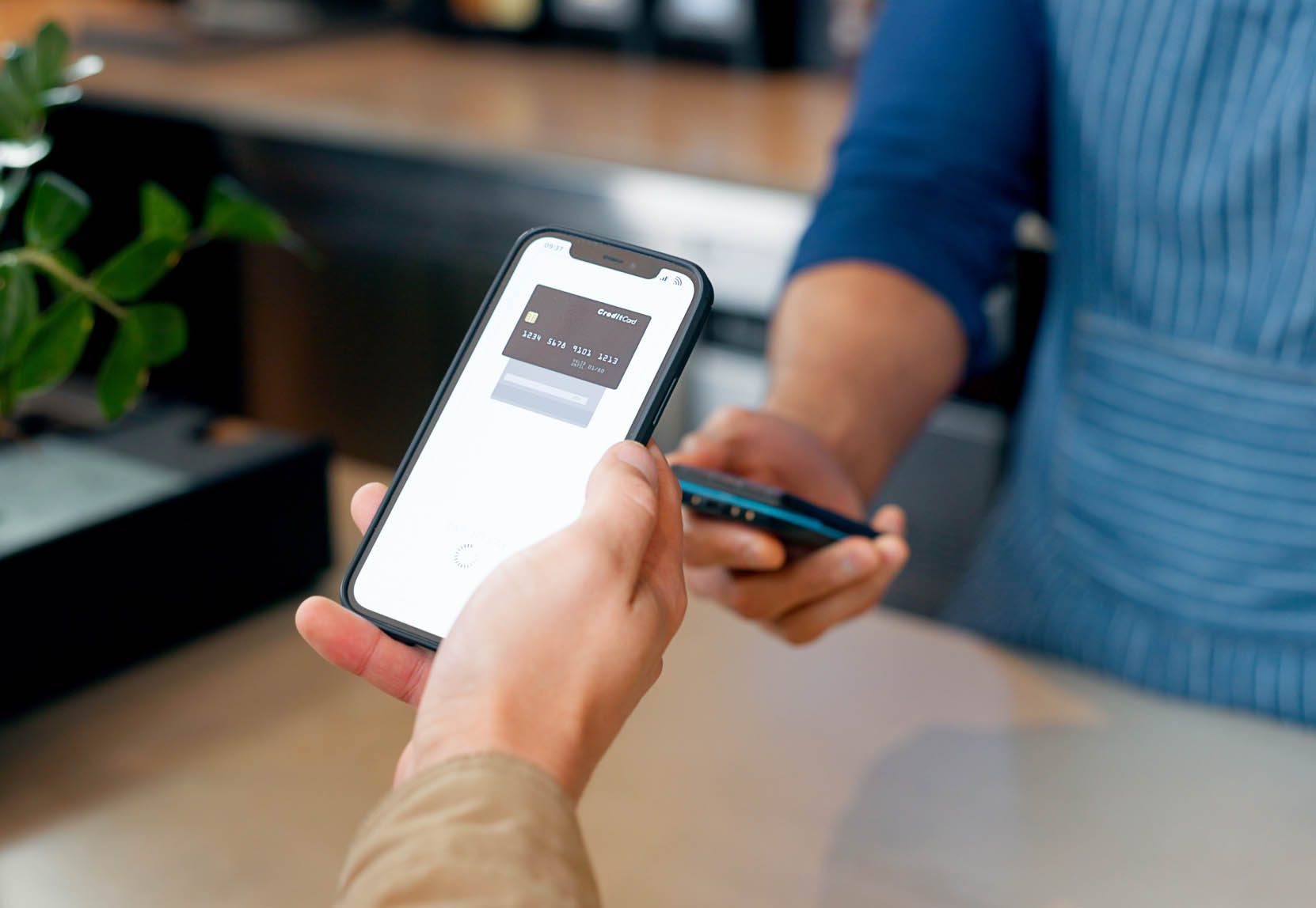 Payment Card